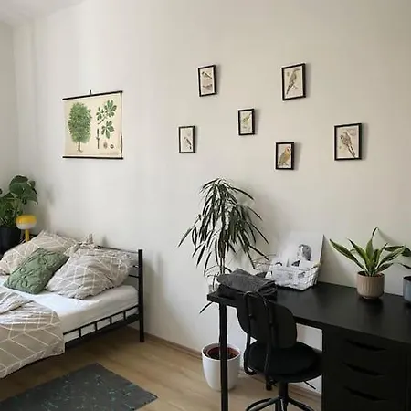 Cute Botanical Flat Near By Zizkov Tower דירה *
